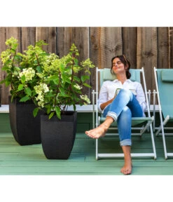 Dehner Strandstuhl Aruba -Günstig Gartenbedarf 4418422 WE MO 002 StrandstuhlArubaNeu