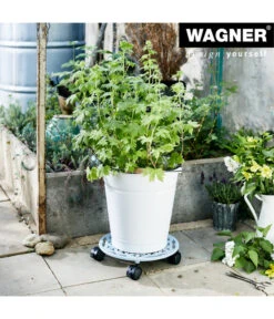 Wagner Pflanzroller, Ø 29 Cm -Günstig Gartenbedarf 4426243 WE MO 001 PflRollerMultiGusseisen