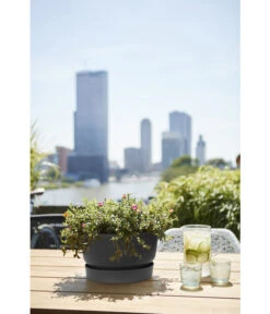 Elho Kunststoff-Schale Greenville, Ca. Ø33/H19,5 Cm 8 Elho Kunststoff-Schale Greenville, Ca. Ø33/H19,5 Cm -Günstig Gartenbedarf 4474292 WE MO 001 elhoKunststoffSchaleGreenville