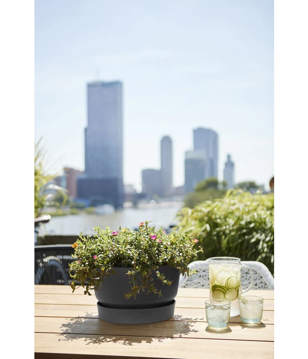 Elho Kunststoff-Schale Greenville, Ca. Ø33/H19,5 Cm 4 Elho Kunststoff-Schale Greenville, Ca. Ø33/H19,5 Cm - Image 2