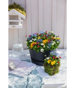 Elho Kunststoff-Schale Greenville, Ca. Ø33/H19,5 Cm 9 Elho Kunststoff-Schale Greenville, Ca. Ø33/H19,5 Cm -Günstig Gartenbedarf 4474292 WE MO 002 elhoKunststoffSchaleGreenville