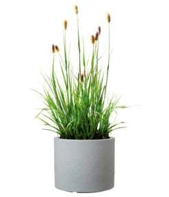 Scheurich Kunststoff-Topf Riva, Rund -Günstig Gartenbedarf 4498838 WE FS 003 ScheurichKunststoffTopfRivarund