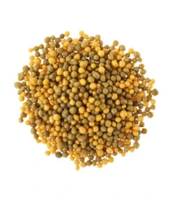 Substral® Osmocote® Buchs & Hecken Dünger, 1,5 Kg -Günstig Gartenbedarf 5170147 BildD 001 SubstralOsmocoteDuengerBuchsUndHeckenBuchsHeckenduengerOsmoc