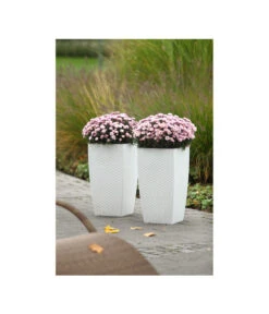 Dehner Kunststoff-Flechttopf Dallas, Quadratisch 18 Dehner Kunststoff-Flechttopf Dallas, Quadratisch -Günstig Gartenbedarf 5336508 WE MO 002 KunststoffFlechttopf30x30cmWeissDehnerLiving