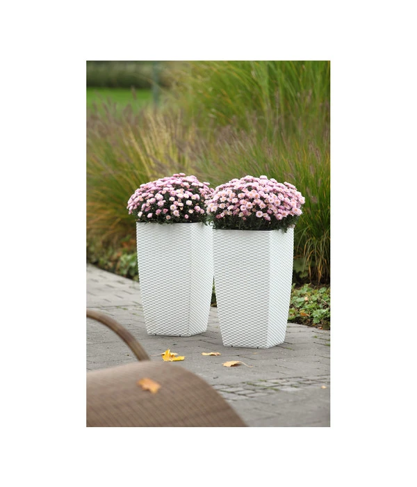 Dehner Kunststoff-Flechttopf Dallas, Quadratisch 5 Dehner Kunststoff-Flechttopf Dallas, Quadratisch - Image 3