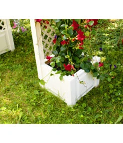 KHW Kunststoff-Rosenbogen, Ca. B174/H207/T43 Cm -Günstig Gartenbedarf 5344221 WE DE 001 RosenbogenKastenweiss