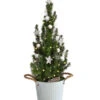 Geschmückter Weihnachtsbaum Linus, Mit Lichterkette, Ca. H50 Cm -Günstig Gartenbedarf 6202089 WE FS 001 WeihnachtsbaeumchenLinus17cmLED
