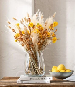 Trockenblumenbund Hasenschwanzgras, Gebleicht -Günstig Gartenbedarf 6272595 WE MO 001 Trockenstrauss