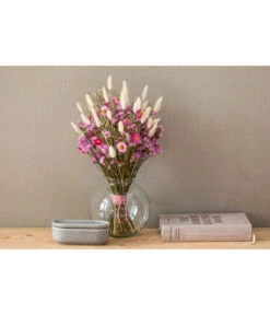 Trockenblumenbund Hasenschwanzgras, Gebleicht -Günstig Gartenbedarf 6284087 PR MO 001 HasenschwanzgrasGebleicht