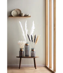 Trockenblumenbund Hasenschwanzgras, Gebleicht -Günstig Gartenbedarf 6284087 PR MO 001 Trockenblumen