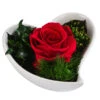 Dehner Herzschale Mit Longlife-Rose Lena, Ca. B12/H8 Cm -Günstig Gartenbedarf 6380901 WE FS 004 LLHerzLenaROT