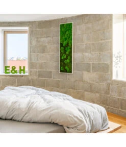 StyleGREEN Bild Aus Wald- Und Kugelmoos Im Verlauf, Ca. B140/H40/T7 Cm -Günstig Gartenbedarf 6429799 PR MO 001 Wald Kugelmoosbild140x40cm