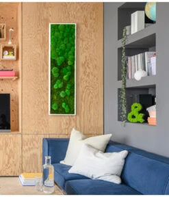 StyleGREEN Bild Aus Wald- Und Kugelmoos Im Verlauf, Ca. B140/H40/T7 Cm -Günstig Gartenbedarf 6429799 PR MO 002 Wald Kugelmoosbild140x40cm