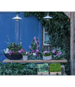 Grabgesteck Unvergessen, Rund, Ca. Ø20/H25 Cm 6 Grabgesteck Unvergessen, Rund, Ca. Ø20/H25 Cm -Günstig Gartenbedarf 6462931 WE MO 001 SerieUnvergessenPremiumAllerheiligen2023