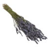 Trockenblumenbund Lavendel 2 Trockenblumenbund Lavendel -Günstig Gartenbedarf 6491682 PR FS 001 LavendeltiefblauBund DehnerExpressHerzig