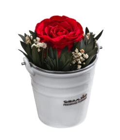 Dehner Arrangement Mit Longlife-Rose Ida, Rot, Ca. Ø7,5/H15 Cm