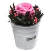 Dehner Arrangement Mit Longlife-Rose Ida, Rosa, Ca. Ø7,5/H15 Cm -Günstig Gartenbedarf 6536858 WE FS 002 LLArrangIdaRosa