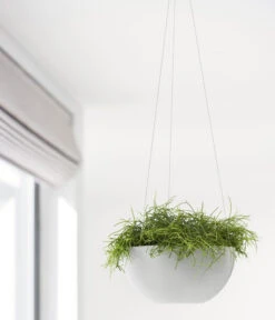 Ecopots Kunststoff-Hängeampel Brussels, Rund, Ca. Ø26,5/H13 Cm -Günstig Gartenbedarf 6614606 WE MO 001 EcopotsKunststoffHaengeampelBrusselsrund