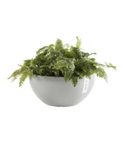 Ecopots Kunststoff-Topf Brussels, Rund -Günstig Gartenbedarf 6614978 WE FS 003 EcopotsKunststoffTopfBrusselsrund