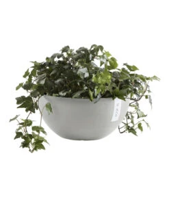 Ecopots Kunststoff-Topf Brussels, Rund -Günstig Gartenbedarf 6614978 WE FS 004 EcopotsKunststoffTopfBrusselsrund