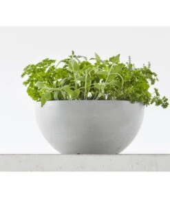 Ecopots Kunststoff-Topf Brussels, Rund -Günstig Gartenbedarf 6614978 WE MO 001 EcopotsKunststoffTopfBrusselsrund