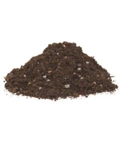 Floragard Zitrus- Und Mediterranpflanzenerde -Günstig Gartenbedarf 6624191 WE DE 001 FloragardZitruspflanzundMediterranpflanzenerde