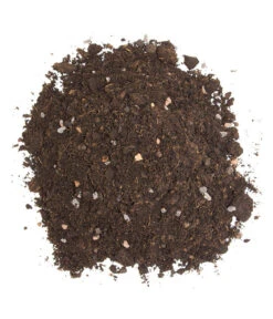 Floragard Zitrus- Und Mediterranpflanzenerde -Günstig Gartenbedarf 6624191 WE DE 002 FloragardZitruspflanzundMediterranpflanzenerde