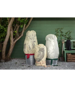 Dehner Pflanzen-Isolierfolie -Günstig Gartenbedarf 6702765 3082997 WE MO 005 VlieshaubeHaseBeige