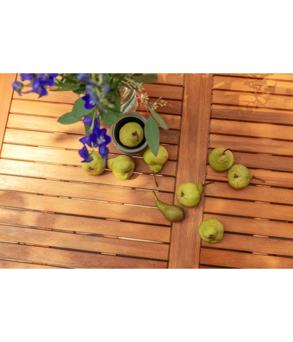 Dehner Klapptisch Tegernsee 5 Dehner Klapptisch Tegernsee - Image 3