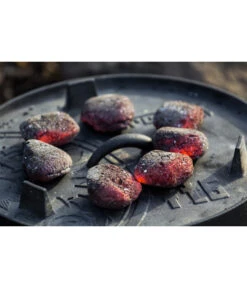 Petromax Dutch Oven -Günstig Gartenbedarf 6770168 WE MO 001 GautzschPetromaxFeuertopf 6769277