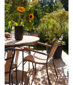 Cinas Stapelstuhl Ellen -Günstig Gartenbedarf 6843569 WE MO 002 EllenArmlehnstuhl