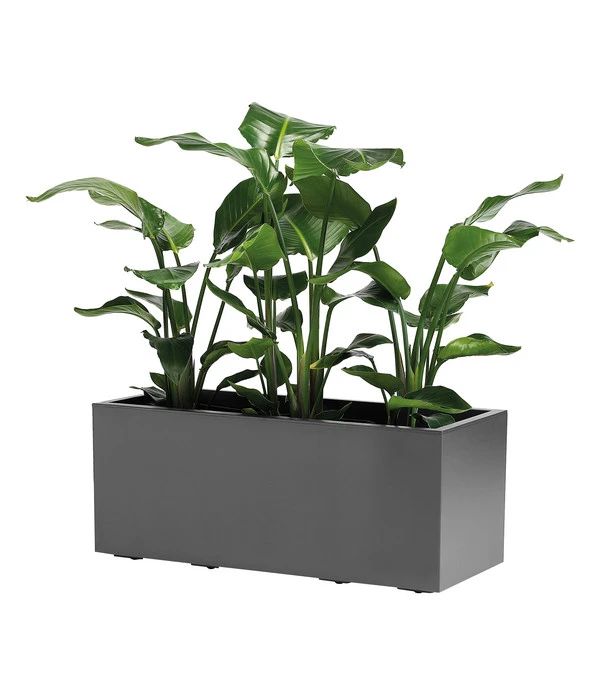 Kunststoff-Kasten Kebe, Rechteckig, Ca. B100/H40/T40 Cm 4 Kunststoff-Kasten Kebe, Rechteckig, Ca. B100/H40/T40 Cm - Image 2