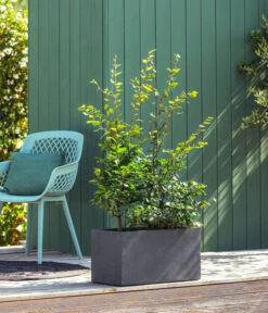 Kunststoff-Kasten Kebe, Rechteckig, Ca. B100/H40/T40 Cm 9 Kunststoff-Kasten Kebe, Rechteckig, Ca. B100/H40/T40 Cm -Günstig Gartenbedarf 6935449 WE MO 001 PflanzkastenKebeAnthrazit