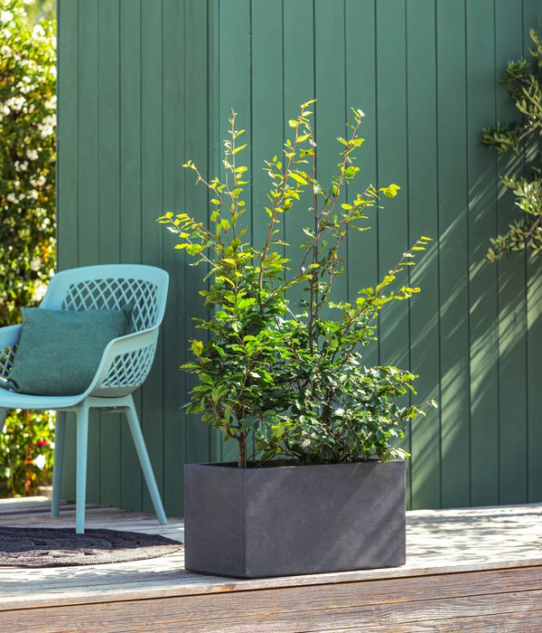 Kunststoff-Kasten Kebe, Rechteckig, Ca. B100/H40/T40 Cm 5 Kunststoff-Kasten Kebe, Rechteckig, Ca. B100/H40/T40 Cm - Image 3