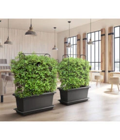 Magnus Kunststoff-Blumenkasten, Rechteckig. Ca. B98/H37/T38 Cm -Günstig Gartenbedarf 6997449 WE MO 001 MagnusKunststoffBlumenkastenschwarz