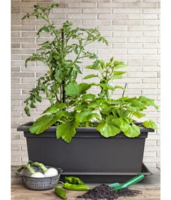 Magnus Kunststoff-Blumenkasten, Rechteckig. Ca. B98/H37/T38 Cm -Günstig Gartenbedarf 6997449 WE MO 003 MagnusKunststoffBlumenkastenschwarz