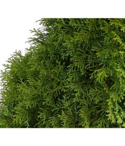 7 Meter Lebensbaum 'Smaragd', 20 X Ca. 100-125 Cm -Günstig Gartenbedarf 7513534 WE DE 001 ThujaLebensbaumOccidentalisSmaragd20LDehnerExpressHerzig