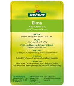 Winterbirne 'Alexander Lucas' -Günstig Gartenbedarf 7602709 BirneAlexanderLucas Etikett 2