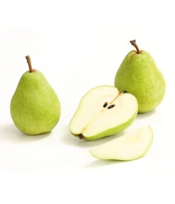 Winterbirne 'Alexander Lucas' -Günstig Gartenbedarf 7602709 WE DE 008 BirneAlexanderLucasDehnerExpressHerzig