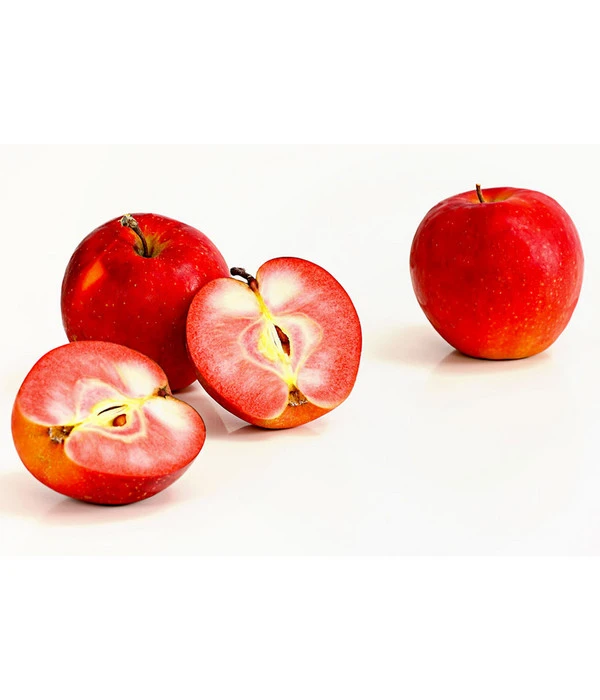 Rotfleischiger Apfel 'Baya Marisa' 3 Rotfleischiger Apfel 'Baya Marisa'