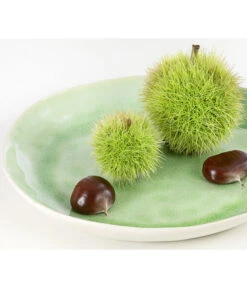 Esskastanie 'Bouche De Betizac' -Günstig Gartenbedarf 7621998 PR DE 002 CastaneaSativaBetizacEsskastanieDehnerExpressHerzig