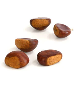 Esskastanie 'Bouche De Betizac' -Günstig Gartenbedarf 7621998 WE DE 003 EsskastanieMaroneCastaneaSativaDehnerExpressHerzig