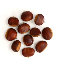 Esskastanie 'Bouche De Betizac' -Günstig Gartenbedarf 7621998 WE FS 003 EsskastanieMaroneCastaneaSativaDehnerExpressHerzig