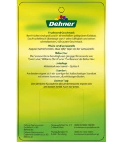 Sommerbirne 'Clapps Liebling' -Günstig Gartenbedarf 7625494 SommerbirneClappsLiebling Etikett 2