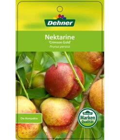 Nektarine 'Crimson Gold' -Günstig Gartenbedarf 7626005 NektarineCrimsonGold Etikett 1