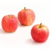 Herbstapfel 'Gala' -Günstig Gartenbedarf 7645880 WE DE 005 ApfelGalaDehnerExpressHerzig