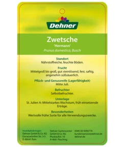 Zwetschge 'Hermann' -Günstig Gartenbedarf 7666688 ZwetschgeHermann Etikett 2