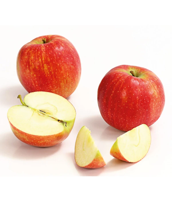 Winterapfel 'Jonagold' 4 Winterapfel 'Jonagold' - Image 2
