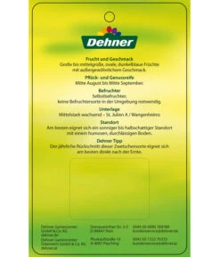 Zwetschge 'Jojo' -Günstig Gartenbedarf 7692635 ZwetscheJojo Etikett 2