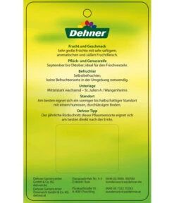 Dehner Pflaume 'Königin Viktoria' -Günstig Gartenbedarf 7702558 PflaumeKoeniginVictoria Etikett 2